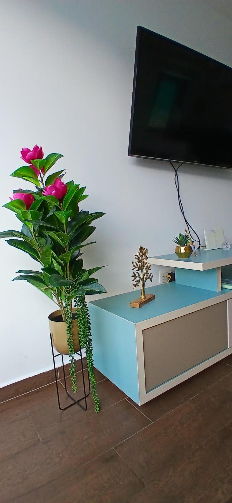Apartment Funny Kotor Ngoại thất bức ảnh